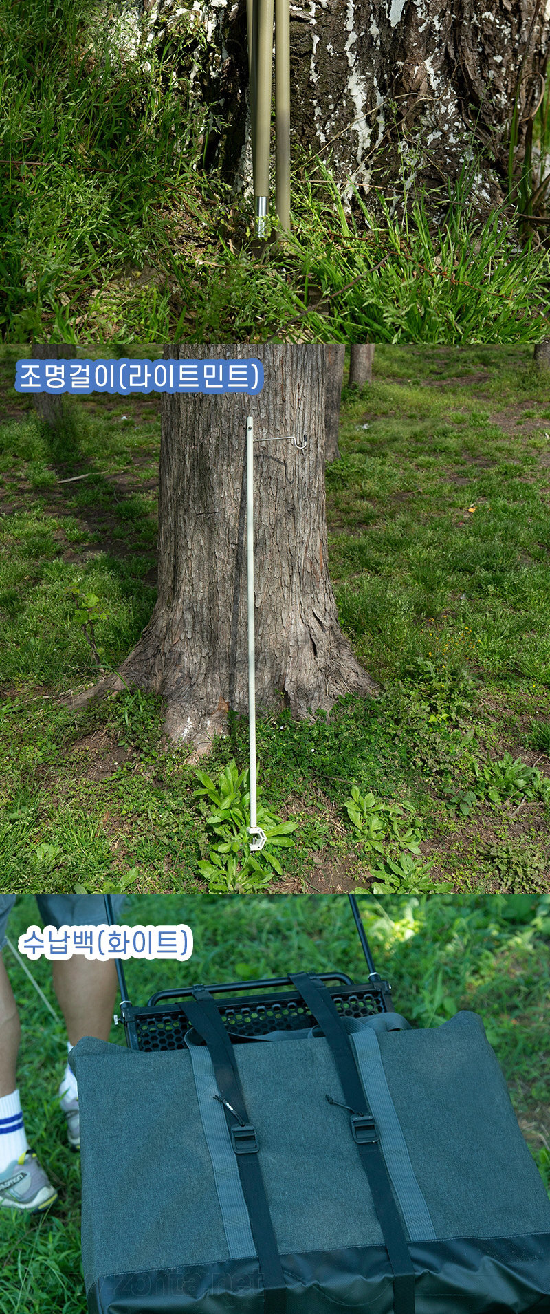 WM_merge_12.jpg